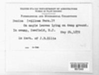 Image Associated With the Occurence